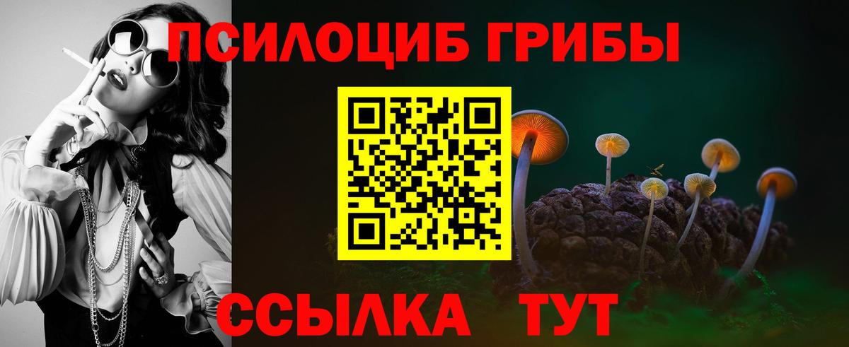 Псилоцибиновые грибы мицелий Саяногорск